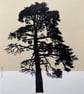 Torquay Monterey Pine no.66, A4 Original artwork, Creamy yellow