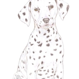 Dot the Dalmatian - Father's Day Card