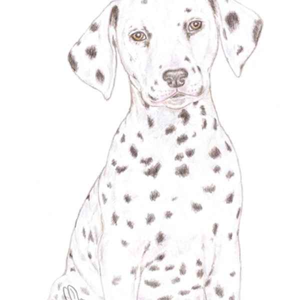 Dot the Dalmatian - Father's Day Card