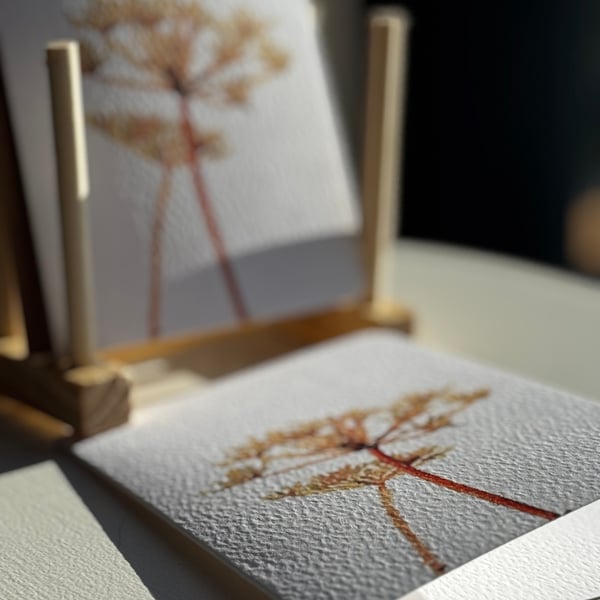 Seedhead Flower Birthday Blank Greetings Card (QM317)