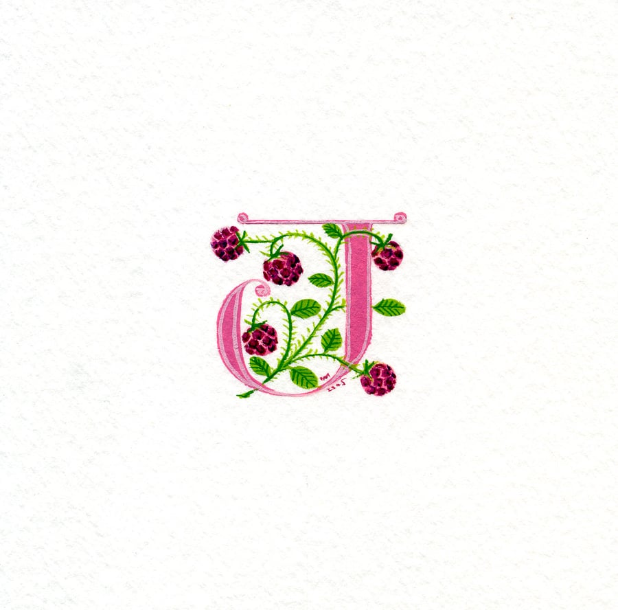 Raspberry pink letter with raspberries birthday gift handmade letters