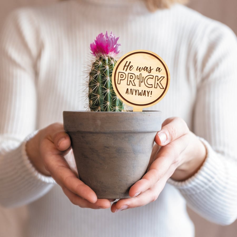 Break Up Divorce Gift A Prick Anyway Plant Tag Funny Small Present 
