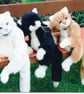 Sewing Pattern for 16" ,or 41cm, jointed, Cat - Image 10
