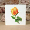Blank Card Apricot Rose Eco Friendly