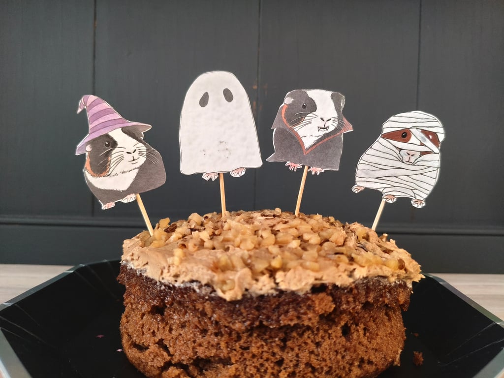 Guinea Pig Halloween Cake Topper Decorations