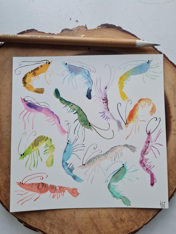 Original hand painted watercolour silly shrimp art