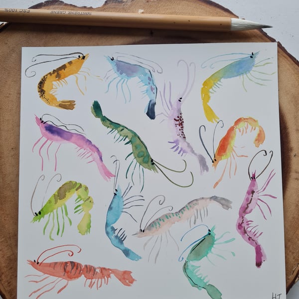 Original hand painted watercolour silly shrimp art