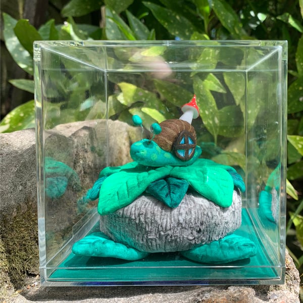 Snail In A Box