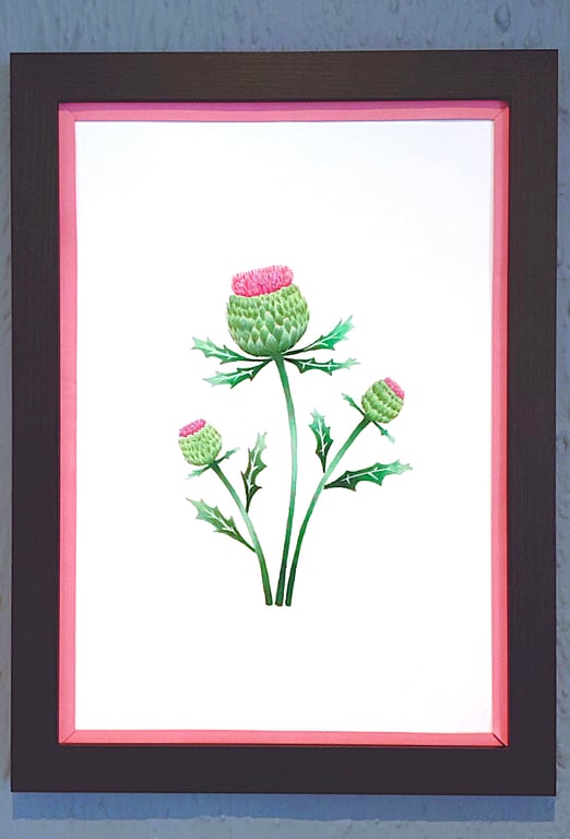 A3 Size Framed Print Painting Scottish Thistles Flowers Pink Border Wallart Gift