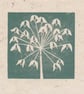 Agapanthus seed head mini linocut print - Image 1