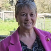 Bellaandthemoobytina