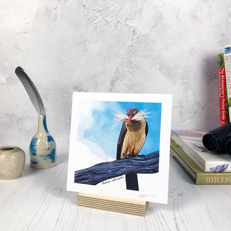 Red Billed Oxpecker Bird Print