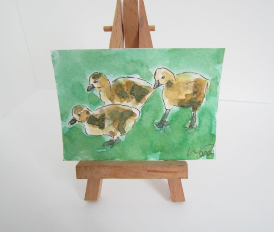ACEO Art Goslings walk Original Watercolour & Ink Painting OOAK