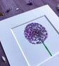 'Allium' 5" x 5" Mounted Print - Image 2