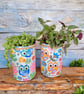 Retro owl grow your own herb gift set  - Image 7
