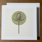Teasel Greeting Card – Botanical Wildflower – 6x6 Linen Card - Blank Card
