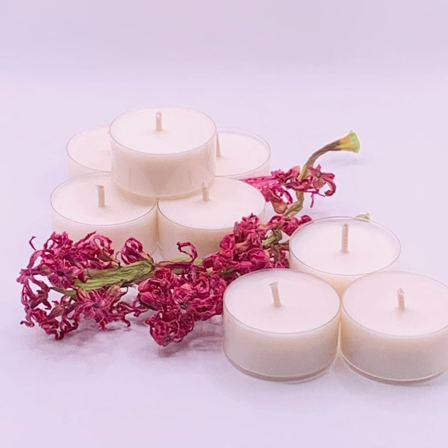 6 Wax Lavender & Bergamot Essential Oil Blends