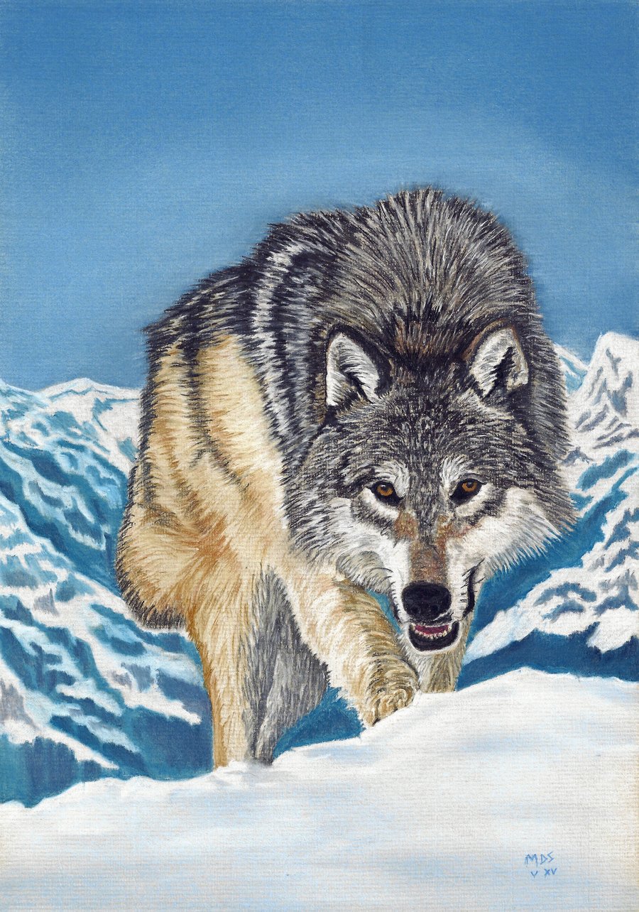 Return of the Wolf Print