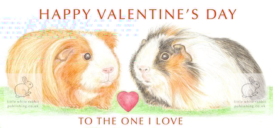Long-haired Guinea Pigs Nose to Nose -  Valentine Card