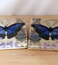 Marble 'Butterfly' Coasters - Image 1