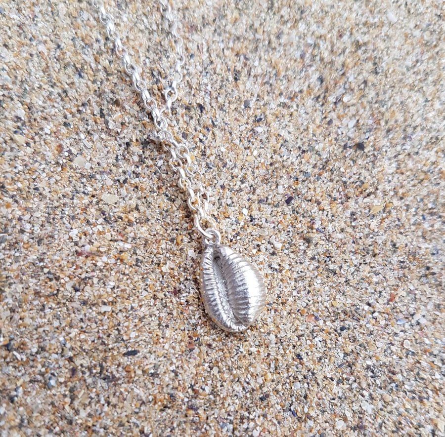 Lucky Stripy Cowrie Shell