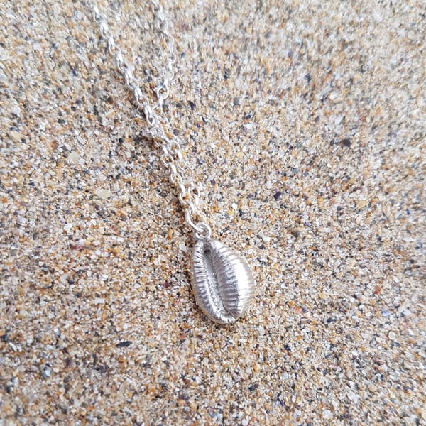 Lucky Stripy Cowrie Shell