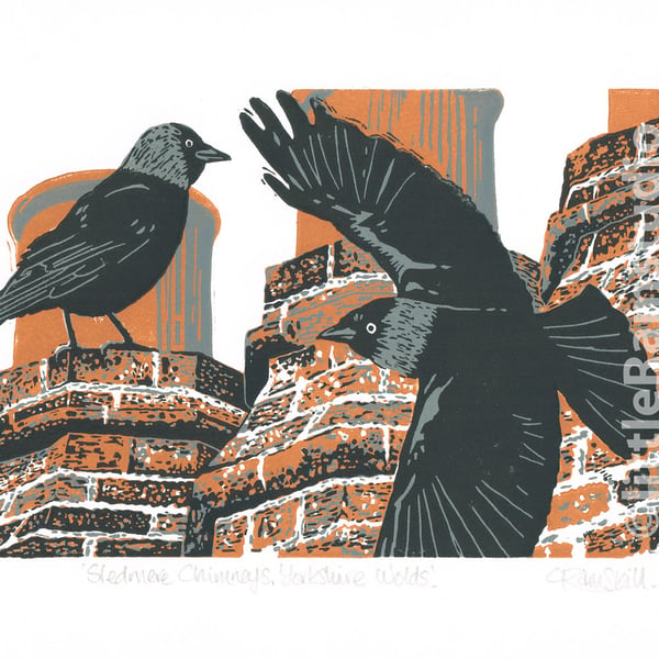 Jackdaws - Original limited edition linocut print