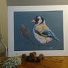 A quality signed print of an original drawing of a Goldfinch 250 mm x 200mm 