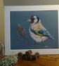 A quality signed print of an original drawing of a Goldfinch 250 mm x 200mm 
