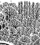 Chorlton Ees, Chorlton, Manchester.  - Image 2