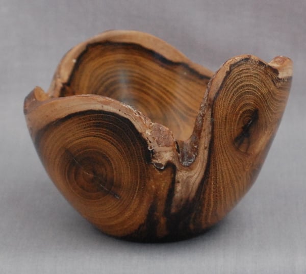 Natural Edge Laburnum Vessel