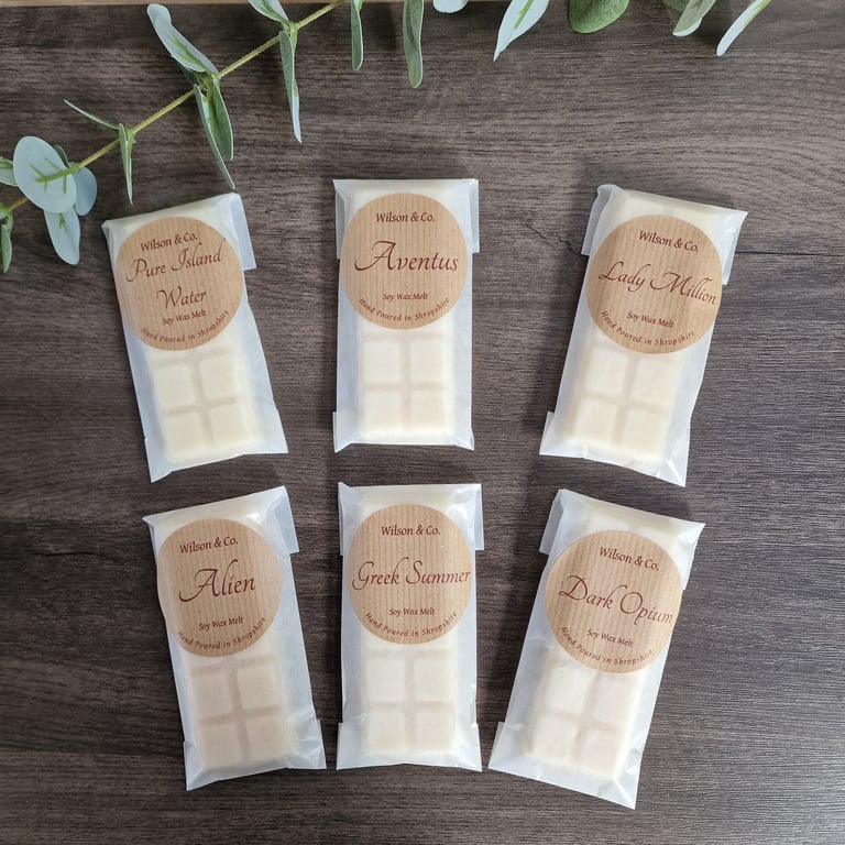 Wax Melt Gift Box 300g 6 Perfume scented wax melt snap bars