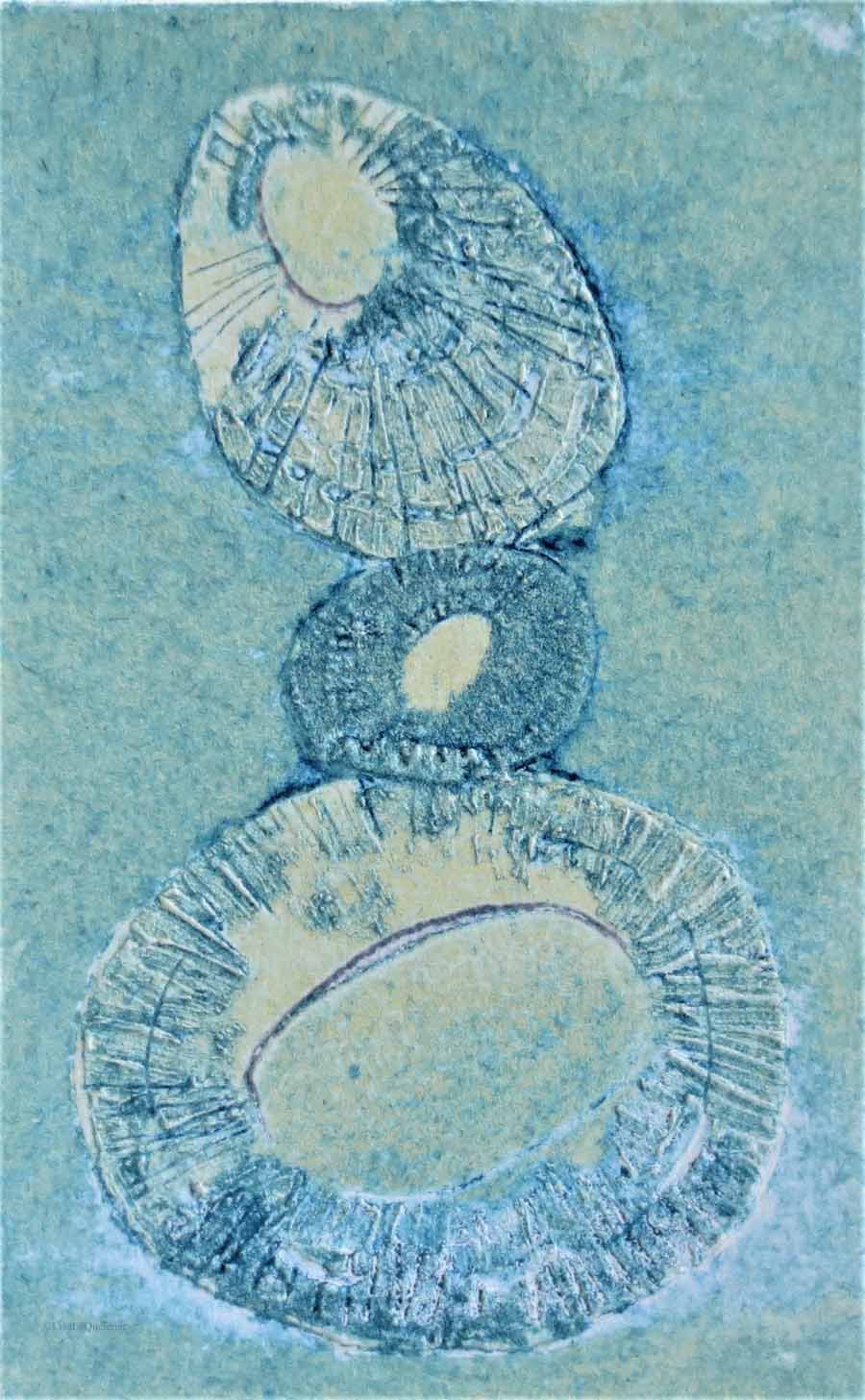 Limpet shells original collagraph print no.4 of a varied edition of 6
