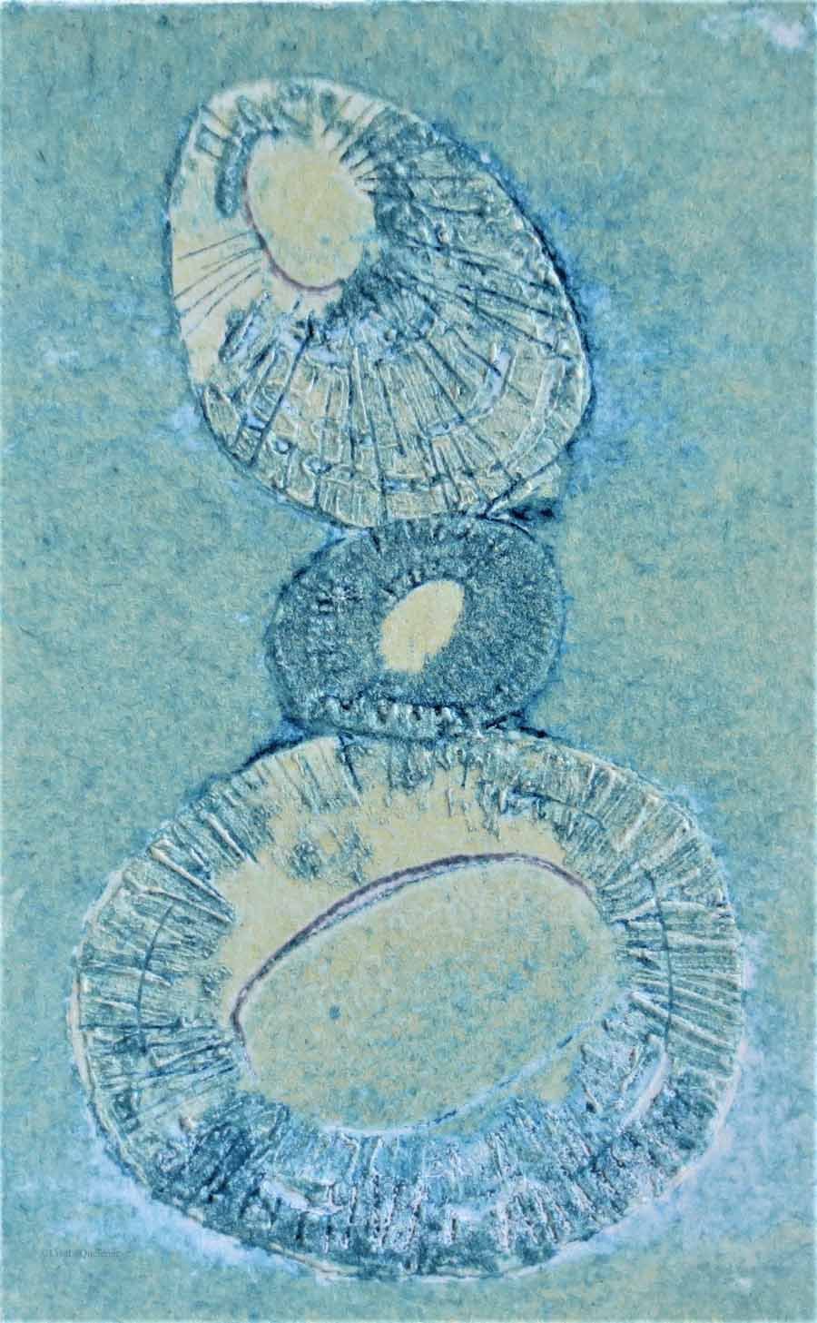 Limpet shells original collagraph print no.4 of a varied edition of 6