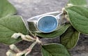Reticulation