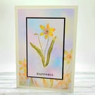 Daffodil Card - Easter, birthday, blank, springtime 