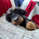 Rottweiler 