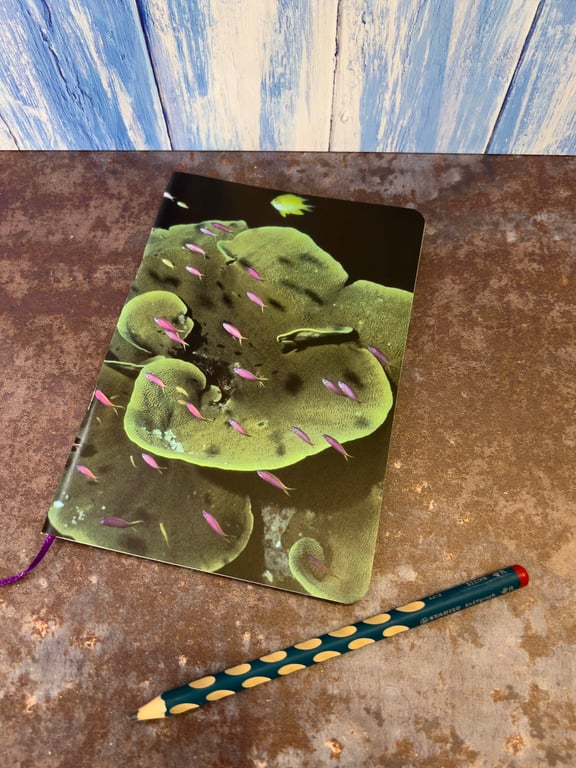 Notebook, Marine themed, A5 (ish), made from up-cycled and recycled materials.