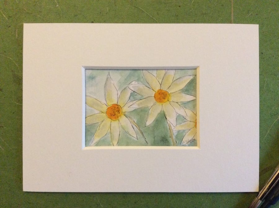 Daisies - original pen, ink and watercolour miniature of flowers