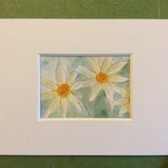 Daisies - original pen, ink and watercolour min... - Folksy