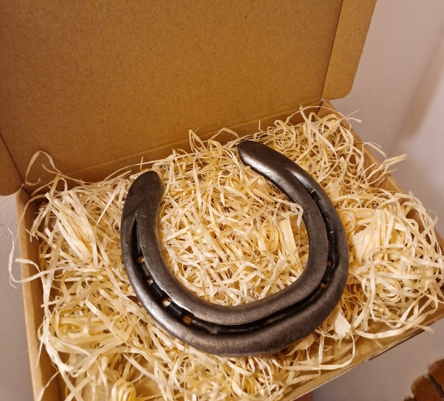 Gift Boxed Lucky Horse Shoe Garden Decor Used Worn 11th Steel Wedding 