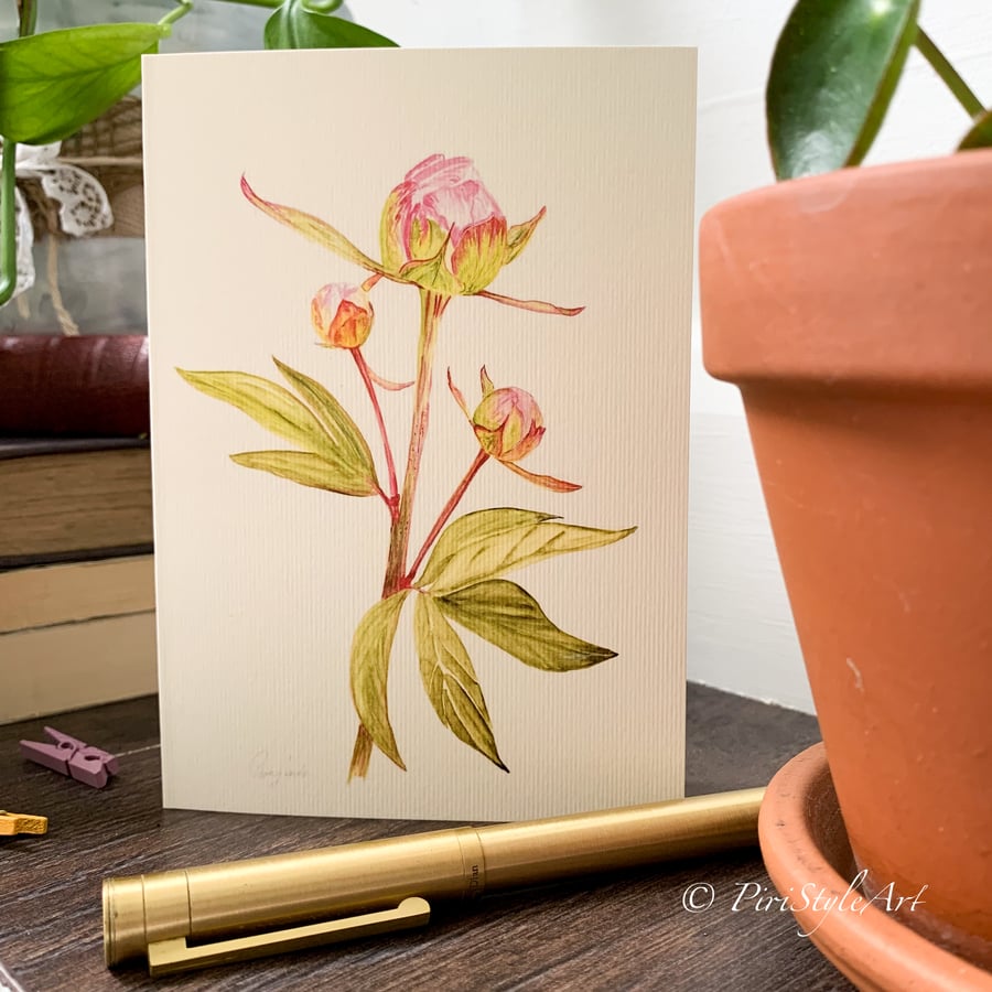 Peony Card, Thank you card, Birthday card, Congratulations card, Blank card