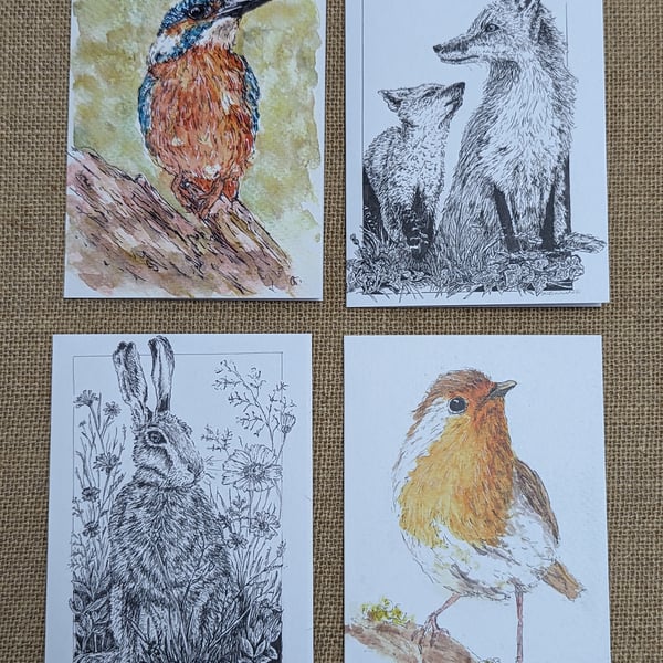 Blank Wildlife cards, pack of four