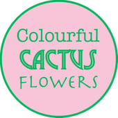 Colourful Cactus Flowers