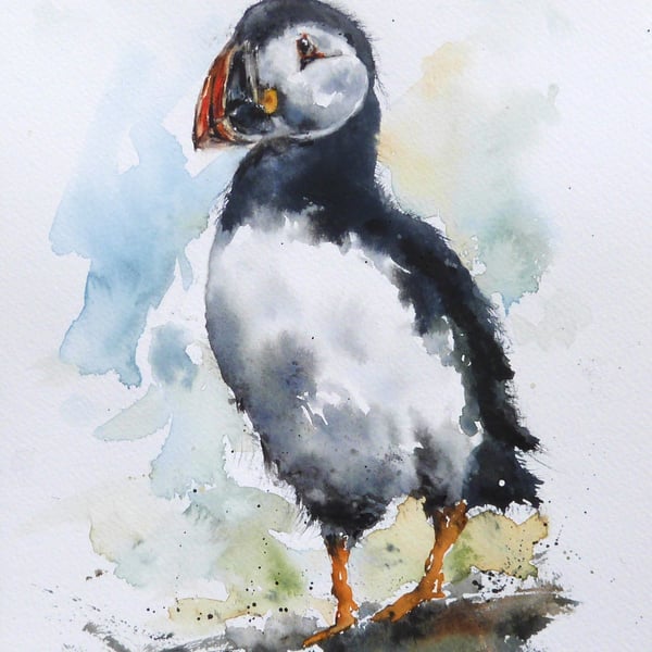 A Puffin, Original Watercolour Painting.