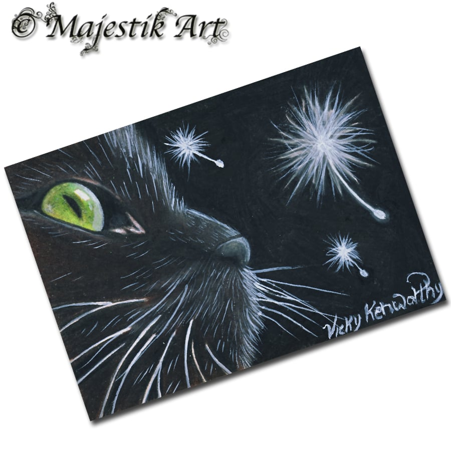 Archival ACEO Black Cat 'Curiosity' By V Kenworthy