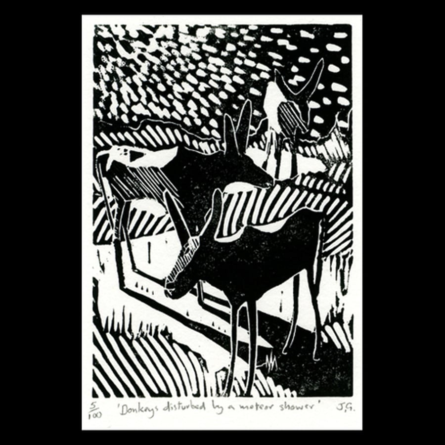 Donkeys Disturbed By A Meteor Shower