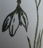 Sending Love Card - Snowdrop - Image 2