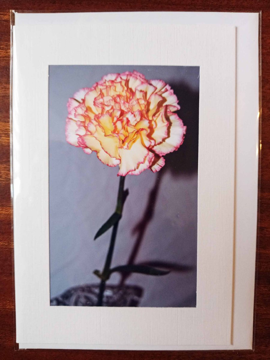 small greetings cards - floral photographic