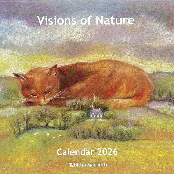 LARGE 2026 Wildlife Art Calendar: wall calendar, nature illustrations, landscape